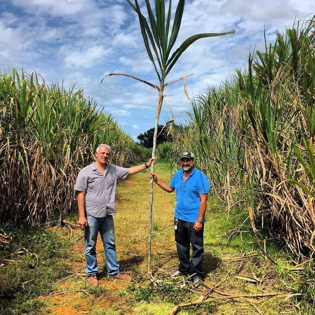 Agro San Juan
